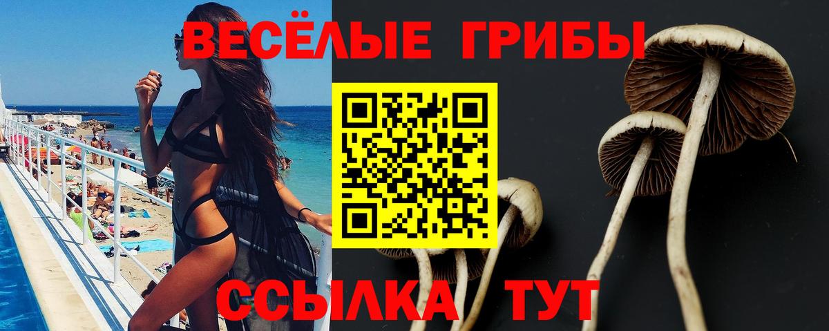 Псилоцибиновые грибы прущие грибы Дзержинск